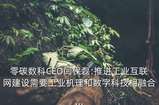 零碳數(shù)科CEO閆保磊:推進(jìn)工業(yè)互聯(lián)網(wǎng)建設(shè)需要工業(yè)機(jī)理和數(shù)字科技相融合...