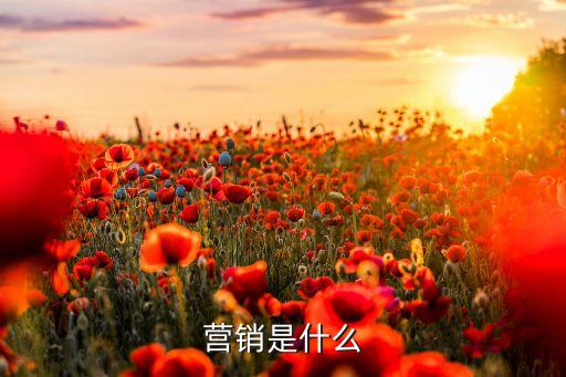 營銷是什么