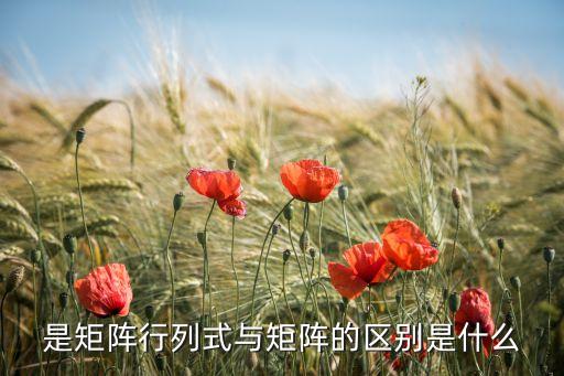 是矩陣行列式與矩陣的區(qū)別是什么