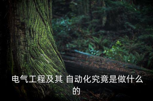 電氣原理及其自動(dòng)化,電氣與自動(dòng)化專業(yè)是做什么的