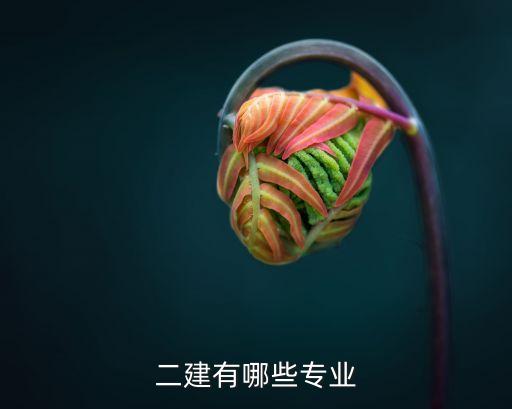 二建有哪些專(zhuān)業(yè)