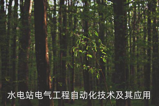 水電站電氣工程自動化技術(shù)及其應(yīng)用