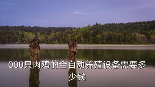 江山自動(dòng)化設(shè)備費(fèi)用,自動(dòng)化機(jī)械設(shè)備成本低