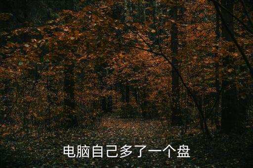 電腦自己多了一個盤