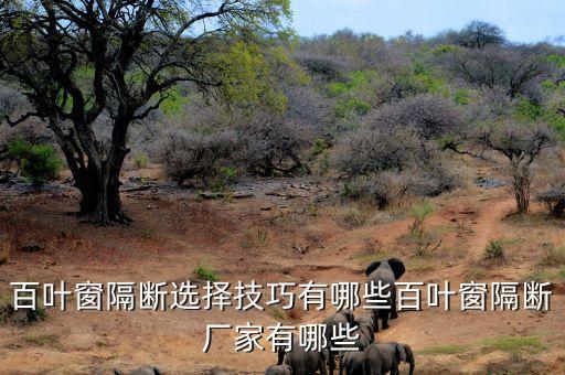 百葉窗隔斷選擇技巧有哪些百葉窗隔斷廠家有哪些