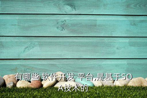 軟件平臺(tái)