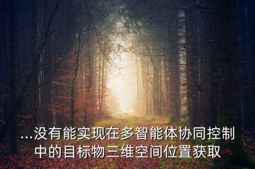 ...沒有能實(shí)現(xiàn)在多智能體協(xié)同控制中的目標(biāo)物三維空間位置獲取