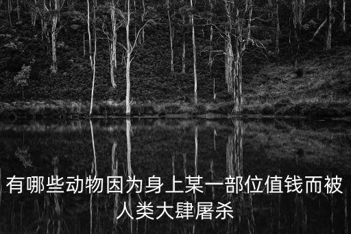 今年非洲犀牛獵殺數(shù)據(jù),為什么非洲犀牛數(shù)量增多適合生存?