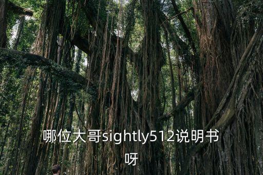 scammers,dmx512鍵盤怎么設(shè)置?