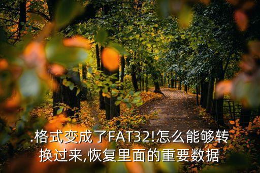 .格式變成了FAT32!怎么能夠轉(zhuǎn)換過來,恢復(fù)里面的重要數(shù)據(jù)