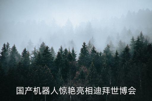 國產(chǎn)機(jī)器人驚艷亮相迪拜世博會