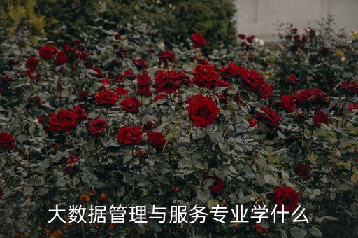 醫(yī)學(xué)大數(shù)據(jù) 教材,精準醫(yī)療大數(shù)據(jù)