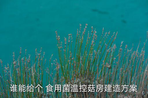 誰(shuí)能給個(gè) 食用菌溫控菇房建造方案