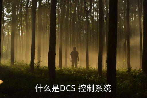 dcs自動化控制系統(tǒng)公司在哪里