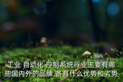 工業(yè) 自動化 控制系統(tǒng)行業(yè)主要有哪些國內(nèi)外的品牌,各有什么優(yōu)勢和劣勢