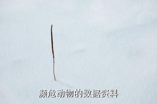 瀕危動物的數(shù)據(jù)資料