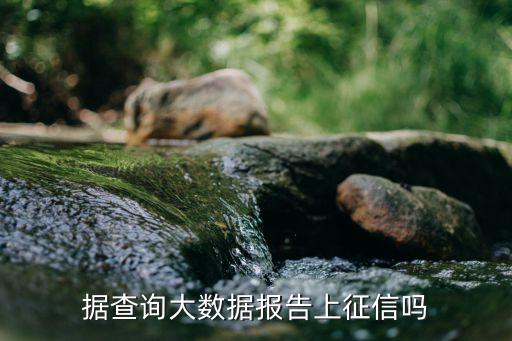 大數(shù)據(jù)征信系統(tǒng)嗎,征信大數(shù)據(jù)評分系統(tǒng)