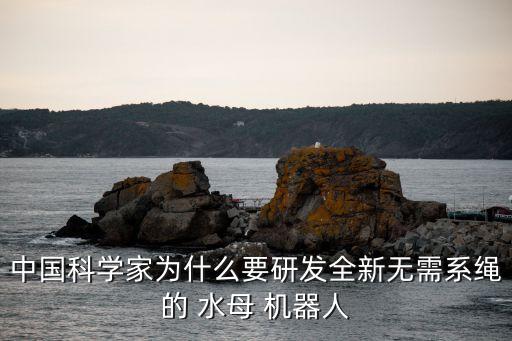 水母組成機(jī)器人視頻,有個水母可以控制機(jī)器人的動畫片