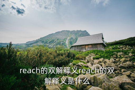 reach是什么意思,達(dá)成意思是什么意思?