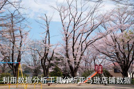 利用數(shù)據(jù)分析工具分析亞馬遜店鋪數(shù)據(jù)
