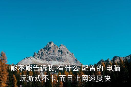 能不能告訴我,有什么 配置的 電腦玩游戲不卡,而且上網(wǎng)速度快