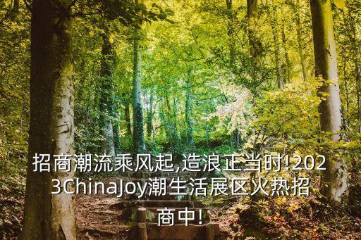 chinajoy2017數(shù)據(jù),三國殺chinajoy2017