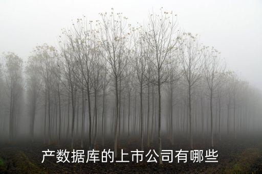 中國(guó)數(shù)據(jù)公司有哪些類型,大數(shù)據(jù)公司有哪些?