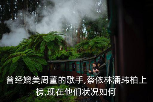 曾經(jīng)媲美周董的歌手,蔡依林潘瑋柏上榜,現(xiàn)在他們狀況如何