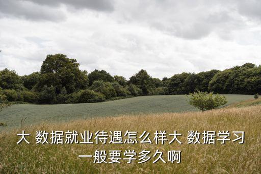 大 數(shù)據(jù)就業(yè)待遇怎么樣大 數(shù)據(jù)學(xué)習(xí)一般要學(xué)多久啊