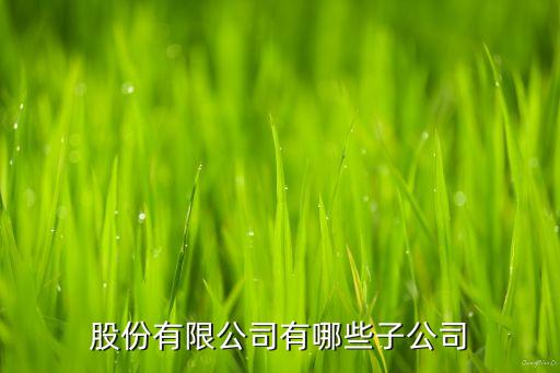 股份有限公司有哪些子公司