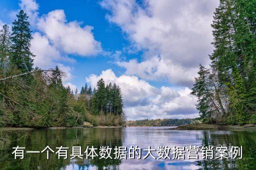 有一個(gè)有具體數(shù)據(jù)的大數(shù)據(jù)營銷案例