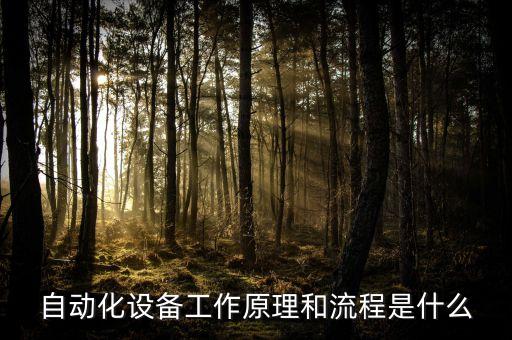 自動化流水設(shè)備原理圖,包裝自動化裝配線設(shè)備制造商
