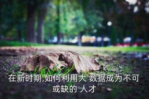 在新時(shí)期,如何利用大 數(shù)據(jù)成為不可或缺的 人才