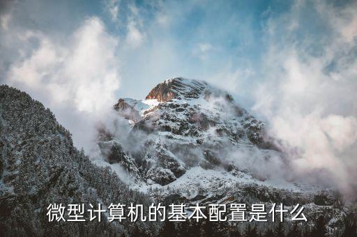 微型計算機的基本配置是什么