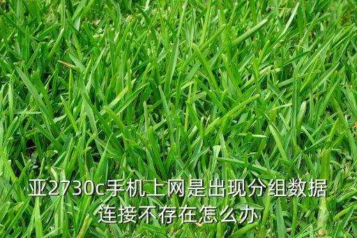 分組數(shù)據(jù)接入點無效諾基亞分組數(shù)據(jù)接入點