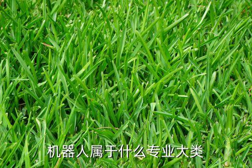 機器人屬于什么專業(yè)大類