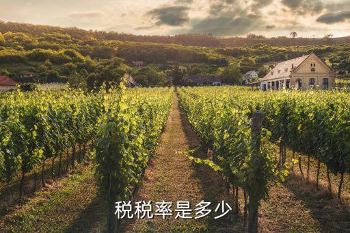稅稅率是多少