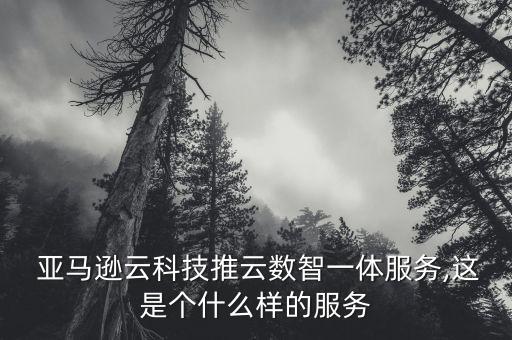  亞馬遜云科技推云數(shù)智一體服務,這是個什么樣的服務