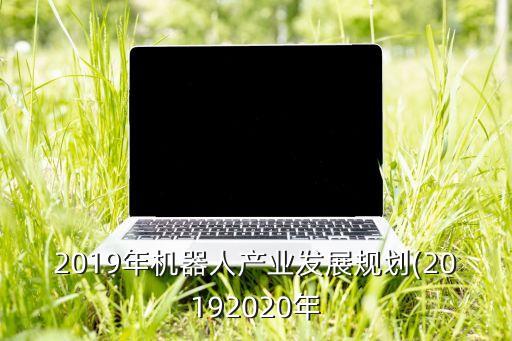 2019年機(jī)器人產(chǎn)業(yè)發(fā)展規(guī)劃(20192020年