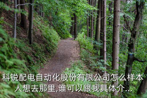 配電自動(dòng)化公司科銳,北京柯睿配電自動(dòng)化處理