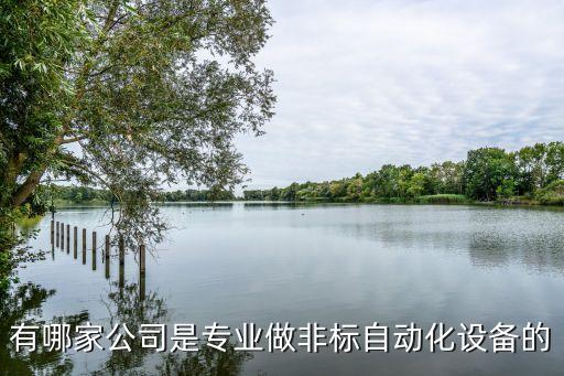有哪家公司是專業(yè)做非標自動化設(shè)備的