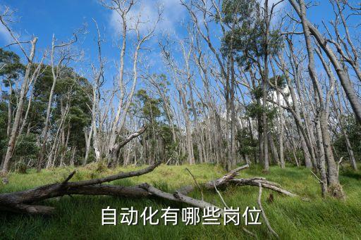 自動(dòng)化有哪些崗位