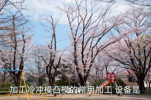 加工冷沖模凸模的常用加工 設(shè)備是