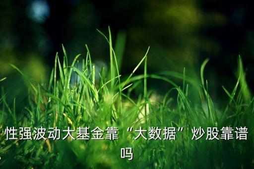 淘金大數(shù)據(jù)100指數(shù),CSI 淘金大數(shù)據(jù)100指數(shù)