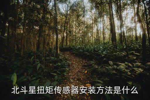 力矩傳感器,長(zhǎng)安奔馳電子助力器扭矩傳感器在彎管那里?