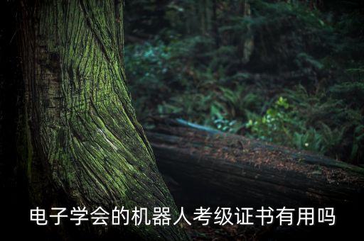 中國(guó)電子協(xié)會(huì),科學(xué)促進(jìn)會(huì)和電子學(xué)會(huì)的區(qū)別