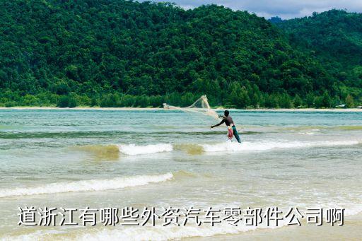 道浙江有哪些外資汽車零部件公司啊
