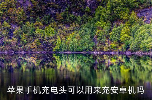 蘋果數(shù)據(jù)線怎么沖安卓,蘋果數(shù)據(jù)線能用安卓頭充電嗎?能?能