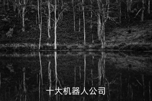 國(guó)內(nèi)十大自動(dòng)化公司,世界十大自動(dòng)化公司