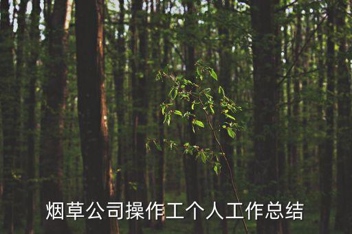 煙草公司自動(dòng)化車間,煙草公司新員工的工作與生活